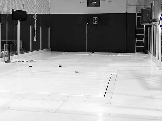 Pro skatemill with motion tracking